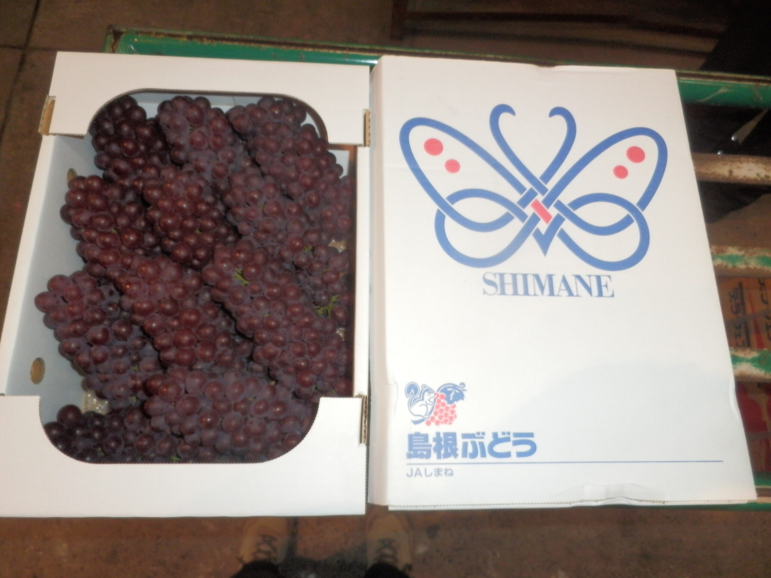 %E3%83%87%E3%83%A9%E5%B3%B6%E6%A0%B9 | 北九州青果株式会社