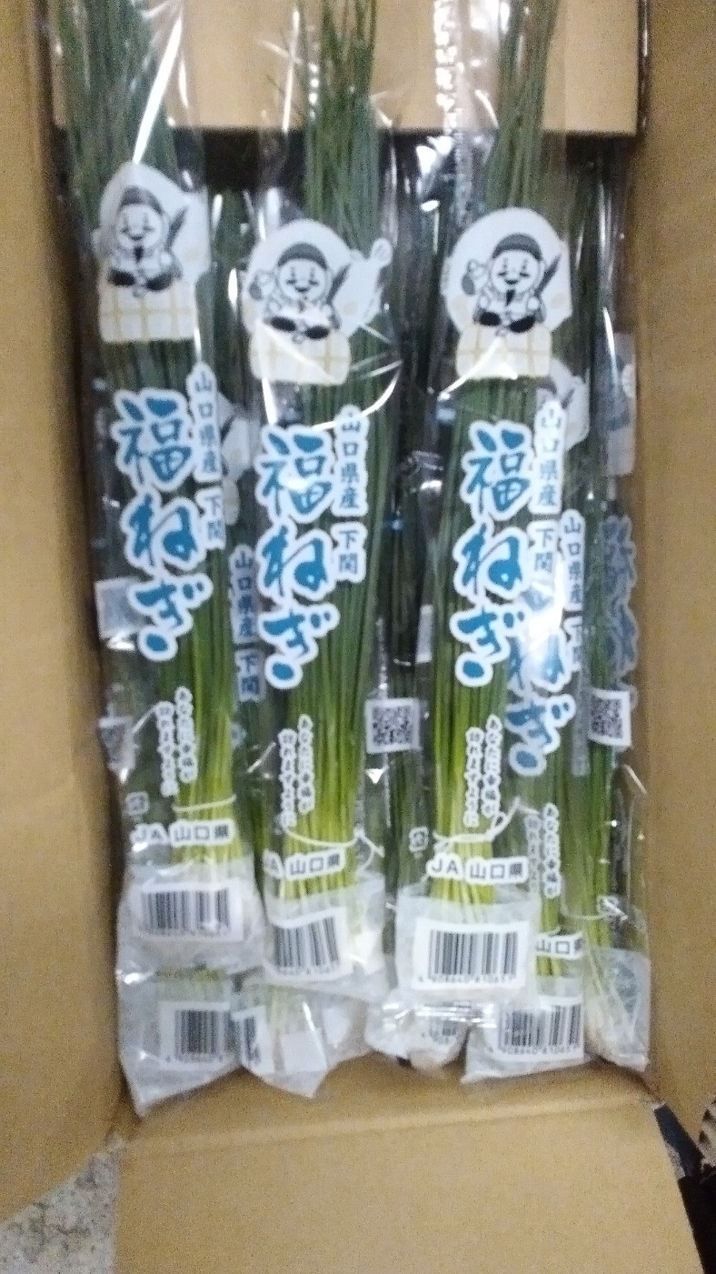 %E5%AE%89%E5%B2%A1%E3%81%AD%E3%81%8E | 北九州青果株式会社