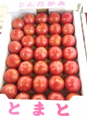 若松トマト4